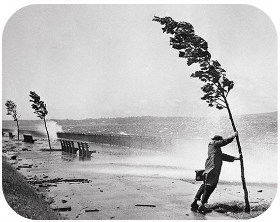 Vento_contrario_poesamor