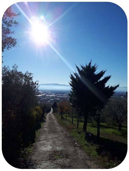 La_libertà_poesamor